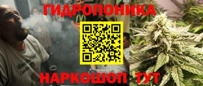 бошки Балашиха