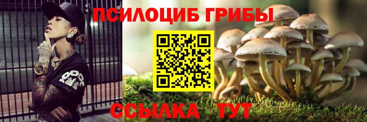 Псилоцибиновые грибы GOLDEN TEACHER  Вход с VPN  дарнет шоп  Полысаево  Галлюциногенные грибы ЛСД 
